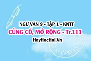 Soạn bài Củng cố, mở rộng trang 111 Ngữ văn lớp 9 tập 1 Kết nối tri thức
